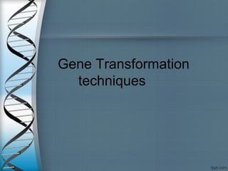Gene Transformation
techniques
 