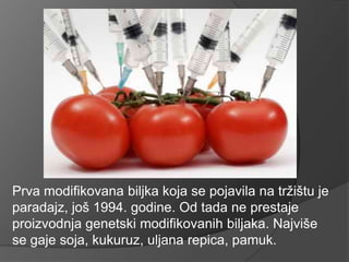 Prva modifikovana biljka koja se pojavila na tržištu je
paradajz, još 1994. godine. Od tada ne prestaje
proizvodnja genets...