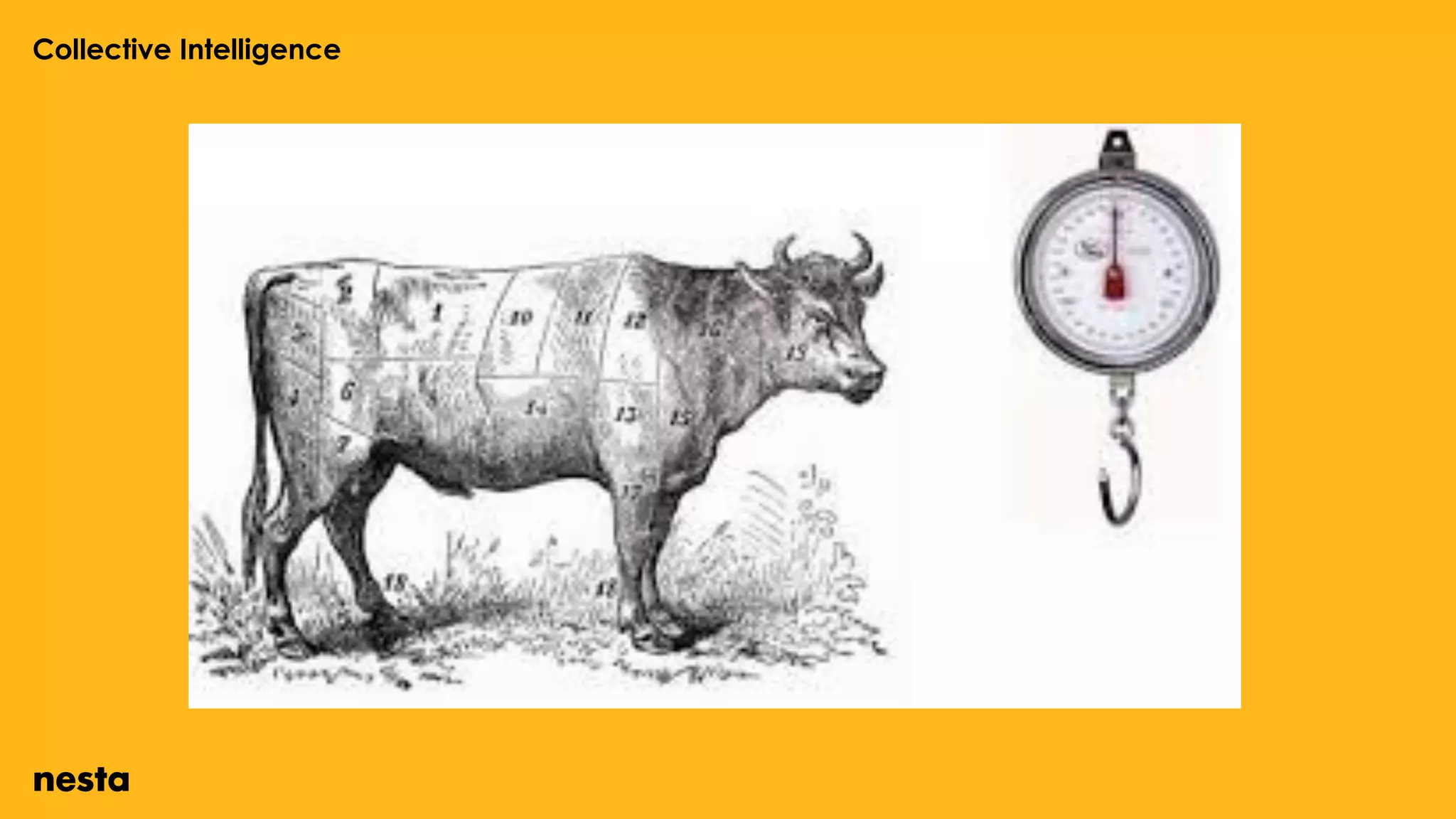 Collective Intelligence