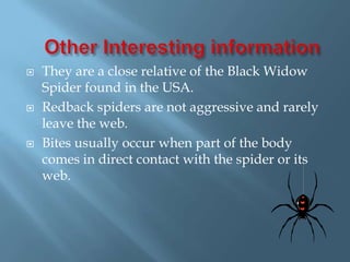 Other Interesting informationThey are a close relative of the Black Widow Spider found in the USA.Redback spiders are not aggressive and rarely leave the web.Bites usually occur when part of the body comes in direct contact with the spider or its web.