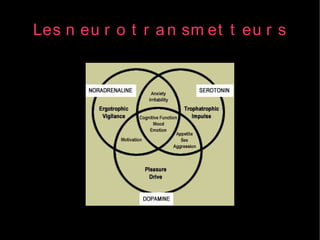 Les n eu r o t r a n sm et t eu r s
 