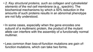 • 2. Key structural proteins, such as collagen and cytoskeletal
elements of the red cell membrane (e.g., spectrin). The
biochemical mechanisms by which a 50% reduction in the
amounts of such proteins results in an abnormal phenotype
are not fully understood.
• In some cases, especially when the gene encodes one
subunit of a multimeric protein, the product of the mutant
allele can interfere with the assembly of a functionally normal
multimer.
• Less common than loss-of-function mutations are gain of-
function mutations, which can take two forms.
 