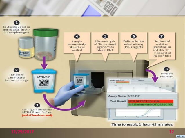 Genexpert | PPTX | Genetics | Science