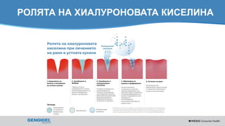 Content for strictly internal use. It is forbidden to capture images,
duplicate information or distribute without written authorization.
РОЛЯТА НА ХИАЛУРОНОВАТА КИСЕЛИНА
 