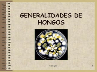 GENERALIDADES DE
    HONGOS




       Micología   1
 