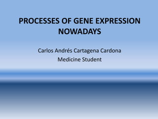 GENE EXPRESSION | PDF