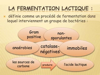 Fermentation lactique : définition et explications