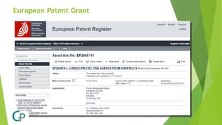 European Patent Grant
 