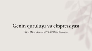 Genin quruluşu və ekspressiyası
Şəhri Məmmədova, MPF2, 220A3a, Biologiya
 