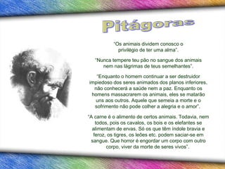 “Os animais dividem conosco o
             privilégio de ter uma alma”.

   “Nunca tempere teu pão no sangue dos animais
      nem nas lágrimas de teus semelhantes”.

   “Enquanto o homem continuar a ser destruidor
impiedoso dos seres animados dos planos inferiores,
  não conhecerá a saúde nem a paz. Enquanto os
 homens massacrarem os animais, eles se matarão
  uns aos outros. Aquele que semeia a morte e o
  sofrimento não pode colher a alegria e o amor”.

“A carne é o alimento de certos animais. Todavia, nem
   todos, pois os cavalos, os bois e os elefantes se
  alimentam de ervas. Só os que têm índole bravia e
  feroz, os tigres, os leões etc. podem saciar-se em
 sangue. Que horror é engordar um corpo com outro
        corpo, viver da morte de seres vivos”.
 