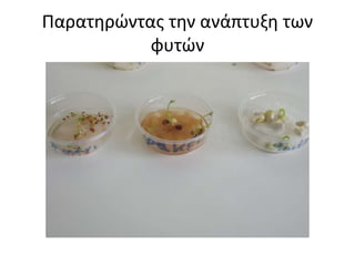Παρατηρώντας την ανάπτυξη των
φυτών
 