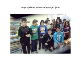 Παρατηρώντας και φροντίζοντας τα φυτά
 