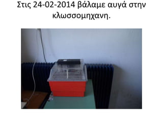 Στις 24-02-2014 βάλαμε αυγά στην
κλωσσομηχανη.
 