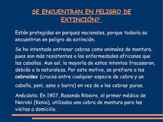 SE ENCUENTRAN EN PELIGRO DE
EXTINCIÓN?
Están protegidas en parques nacionales, porque todavía se
encuentran en peligro de extinción.
Se ha intentado entrenar cebras como animales de montura,
pues son más resistentes a las enfermedades africanas que
los caballos. Aun así, la mayoría de estos intentos fracasaron,
debido a la naturaleza. Por este motivo, se prefiere a los
cebroides (cruces entre cualquier especie de cebra y un
caballo, poni, asno o burro) en vez de a las cebras puras.
Anécdota: En 1907, Rosendo Ribeiro, el primer médico de
Nairobi (Kenia), utilizaba una cebra de montura para las
visitas a domicilio.
 
