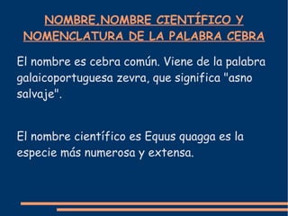 NOMBRE,NOMBRE CIENTÍFICO Y
NOMENCLATURA DE LA PALABRA CEBRA
El nombre es cebra común. Viene de la palabra
galaicoportuguesa zevra, que significa "asno
salvaje".
El nombre científico es Equus quagga es la
especie más numerosa y extensa.
 