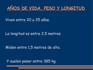 AÑOS DE VIDA, PESO Y LONGITUD
Viven entre 20 y 25 años.
La longitud es entre 2,5 metros.
Miden entre 1,5 metros de alto.
Y suelen pesar entre 385 kg.
 