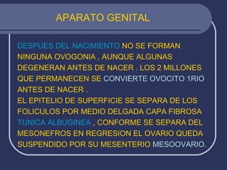 APARATO GENITAL
DESPUES DEL NACIMIENTO NO SE FORMAN
NINGUNA OVOGONIA , AUNQUE ALGUNAS
DEGENERAN ANTES DE NACER . LOS 2 MILLONES
QUE PERMANECEN SE CONVIERTE OVOCITO 1RIO
ANTES DE NACER .
EL EPITELIO DE SUPERFICIE SE SEPARA DE LOS
FOLICULOS POR MEDIO DELGADA CAPA FIBROSA
TUNICA ALBUGINEA , CONFORME SE SEPARA DEL
MESONEFROS EN REGRESION EL OVARIO QUEDA
SUSPENDIDO POR SU MESENTERIO MESOOVARIO.
 