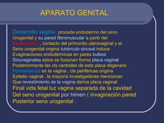 APARATO GENITAL
Desarrollo vagina procede endodermo del seno
Urogenital y su pared fibromuscular a partir del
Mesenquima , contacto del primordio uterovaginal y el
Seno urogenital origina tubérculo sinusal induce
Evaginaciones endodérmicas en pares bulbos
Sinuvaginales estos se fusionan forma placa vaginal
Posteriormente las cls centrales de esta placa degenera
Formando luz en la vagina , cls periféricas origina
Epitelio vaginal , la mayoría investigadores mencionan
Que revestimiento de la vagina deriva placa vaginal
Final vida fetal luz vagina separada de la cavidad
Del seno urogenital por himen ( invaginación pared
Posterior seno urogenital .
 