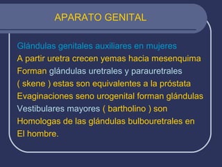 APARATO GENITAL
Glándulas genitales auxiliares en mujeres
A partir uretra crecen yemas hacia mesenquima
Forman glándulas uretrales y parauretrales
( skene ) estas son equivalentes a la próstata
Evaginaciones seno urogenital forman glándulas
Vestibulares mayores ( bartholino ) son
Homologas de las glándulas bulbouretrales en
El hombre.
 