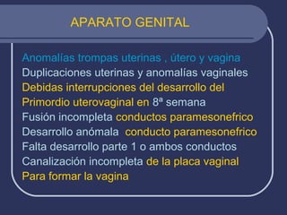 APARATO GENITAL
Anomalías trompas uterinas , útero y vagina
Duplicaciones uterinas y anomalías vaginales
Debidas interrupciones del desarrollo del
Primordio uterovaginal en 8ª semana
Fusión incompleta conductos paramesonefrico
Desarrollo anómala conducto paramesonefrico
Falta desarrollo parte 1 o ambos conductos
Canalización incompleta de la placa vaginal
Para formar la vagina
 