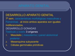 APARATO GENITAL
DESARROLLO APARATO GENITAL
7ª sem. características morfológicas masculinas y
Femeninas , al inicio ambos aparatos son iguales
Indiferenciados.
DESARROLLO GONADAS
Testículo y ovario 3 orígenes
1. Mesotelio ( mesodermo ) pared abdominal
posterior
2. Mesenquima subyacente
3. Células germinales primitivas
 