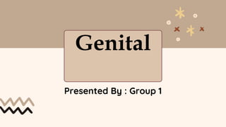 Genital
Presented By : Group 1
 