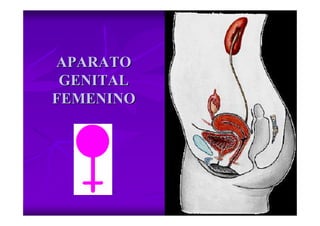 APARATO
 GENITAL
FEMENINO
 