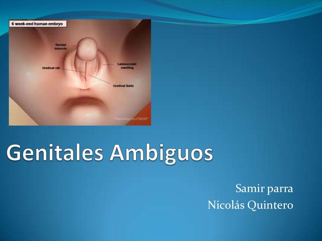 Porque Es Malo Soplar Los Genitales Genitales ambiguos