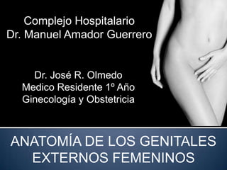 Complejo Hospitalario
Dr. Manuel Amador Guerrero


    Dr. José R. Olmedo
  Medico Residente 1º Año
  Ginecología y Obstetricia



ANATOMÍA DE LOS GENITALES
  EXTERNOS FEMENINOS
 
