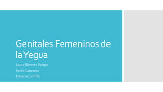 Genitales Femeninos de
laYegua
Laura BorreroVargas
Kerin Carmona
DayanaCantillo
 