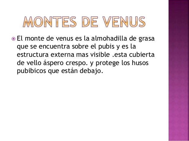 Genitales femeninos externos