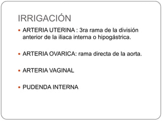 IRRIGACIÓN
 ARTERIA UTERINA : 3ra rama de la división
 anterior de la iliaca interna o hipogástrica.

 ARTERIA OVARICA: rama directa de la aorta.


 ARTERIA VAGINAL


 PUDENDA INTERNA
 