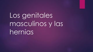 Los genitales
masculinos y las
hernias
 