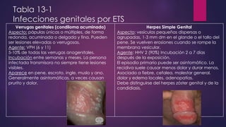 Tabla 13-2 Anomalías del pene y el escroto
Hipospadias: Desplazamiento congénito del
meato uretral hacia la cara inferior ...