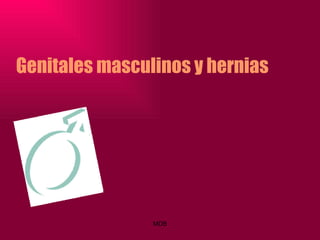 Genitales masculinos y hernias 