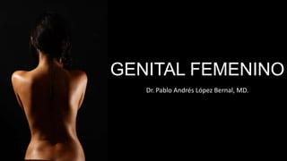 GENITAL FEMENINO
Dr. Pablo Andrés López Bernal, MD.
 