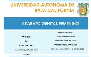 APARATO GENITAL FEMENINO
PATOLOGIA
501
ASESOR DE MATERIA:
DRA. WENDOLYN FLORES SOTO
PRESENTA:
CAÑEDO TORRES ALIXY
LUIS GARCIA MIGUEL ANGEL
MORIEL CASTAÑEDA ALEXANDRA
SANCHEZ MORENO JUAN CARLOS
ENSENADA, BAJA CALIFORNIA A 08 DE ABRIL DE 2014
UNIVERSIDAD AUTÓNOMA DE
BAJA CALIFORNIA
 