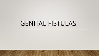GENITAL FISTULAS
 
