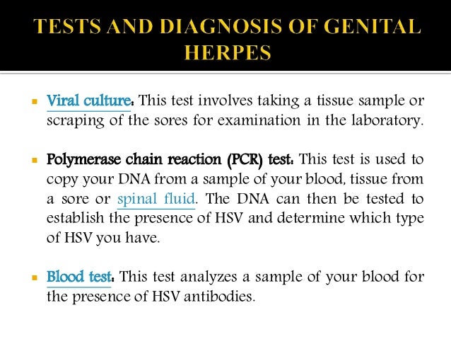 Test genitalis
