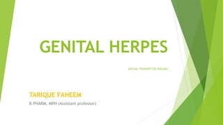 GENITAL HERPES
(SEXUAL TRANSMITTED DISEASE)
TARIQUE FAHEEM
B.PHARM, MPH (Assistant professor)
 