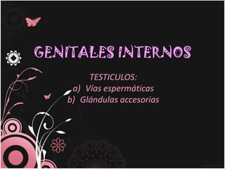 GENITALES INTERNOS
        TESTICULOS:
    a) Vías espermáticas
   b) Glándulas accesorias
 