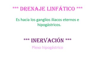 *** DRENAJE LINFÁTICO ***
 Es hacia los ganglios iliacos eternos e
               hipogástricos.


     *** inervación ***
          Plexo hipogástrico
 