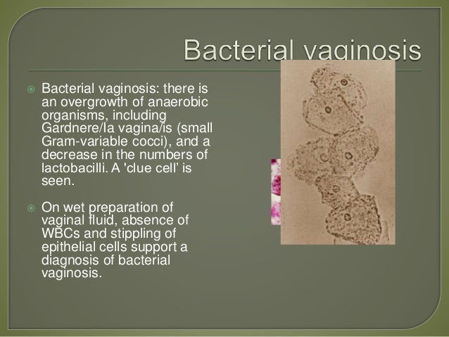 pap smear test