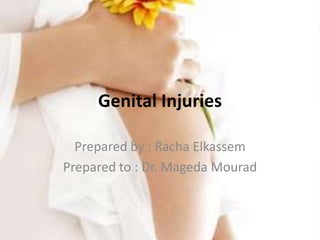 Genital Injuries
Prepared by : Racha Elkassem
Prepared to : Dr. Mageda Mourad

 