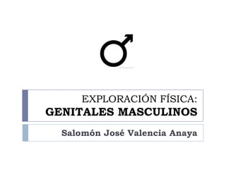 EXPLORACIÓN FÍSICA:
GENITALES MASCULINOS
Salomón José Valencia Anaya
 