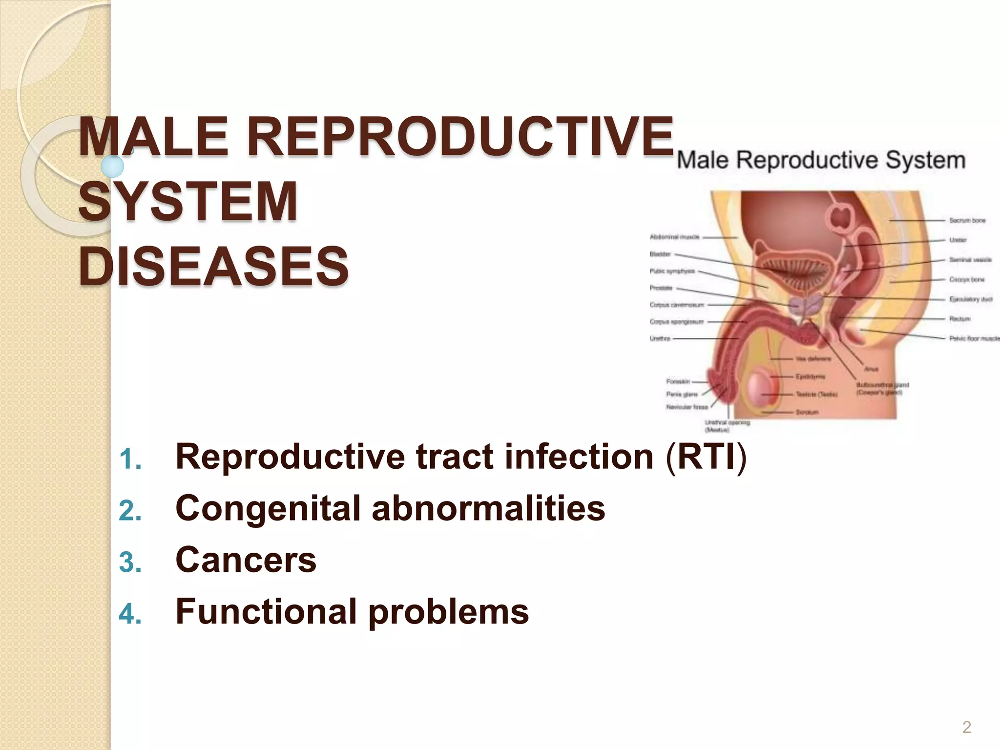 Genital reproductive system (grs) | PPTX