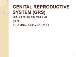 GENITAL REPRODUCTIVE
SYSTEM (GRS)
DR.QURATULAIN MUGHAL
(DPT)
ISRA UNIVERSITY,KARACHI
1
 