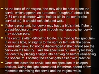 clitorisclitoris 
