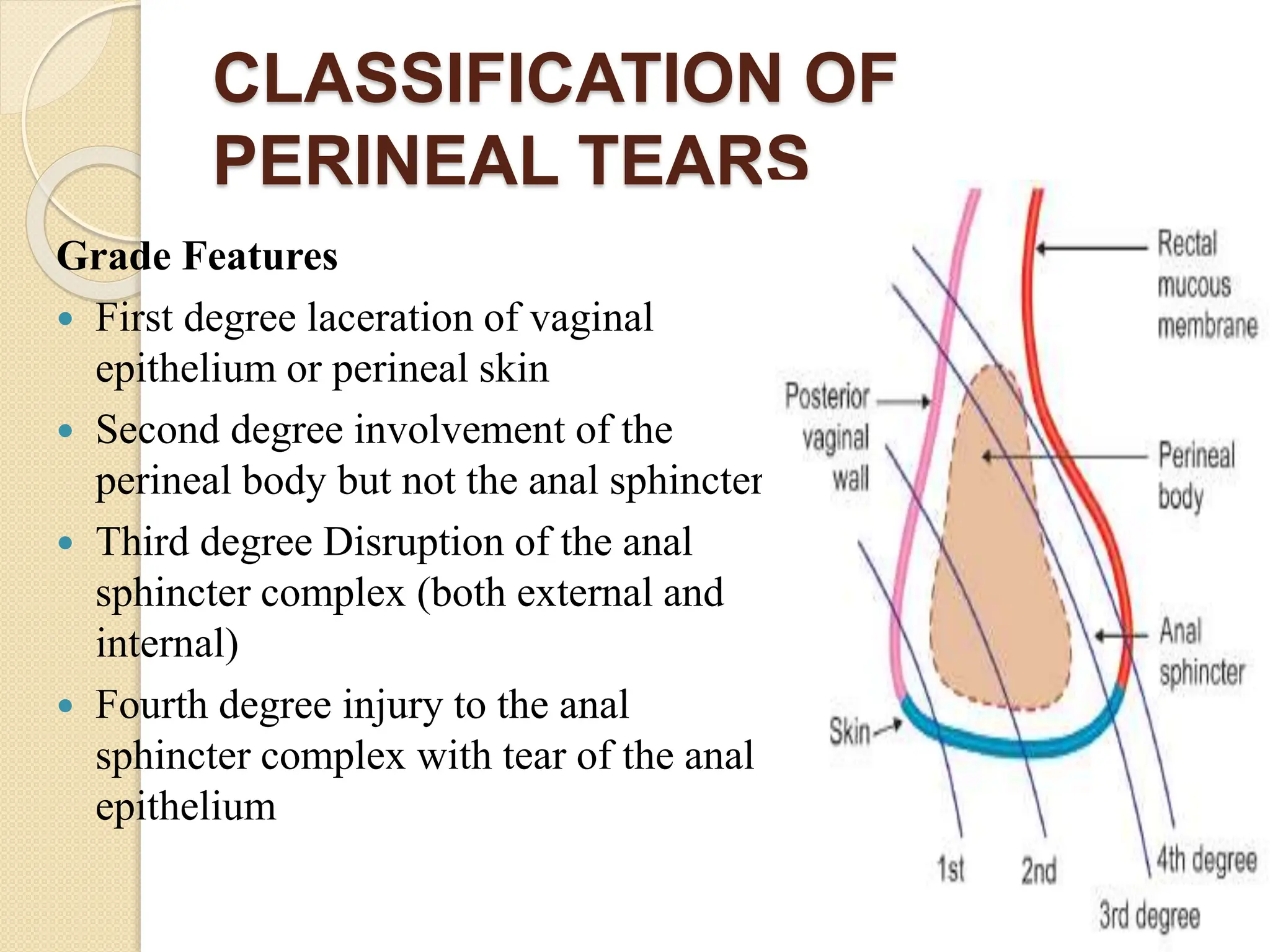 GENITAL TRACT INJURIES pptx