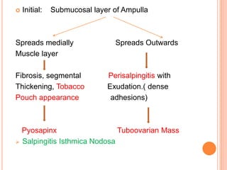  Initial: Submucosal layer of Ampulla
Spreads medially Spreads Outwards
Muscle layer
Fibrosis, segmental Perisalpingitis with
Thickening, Tobacco Exudation.( dense
Pouch appearance adhesions)
Pyosapinx Tuboovarian Mass
 Salpingitis Isthmica Nodosa
 